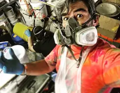 Mold inspection Springdale AR