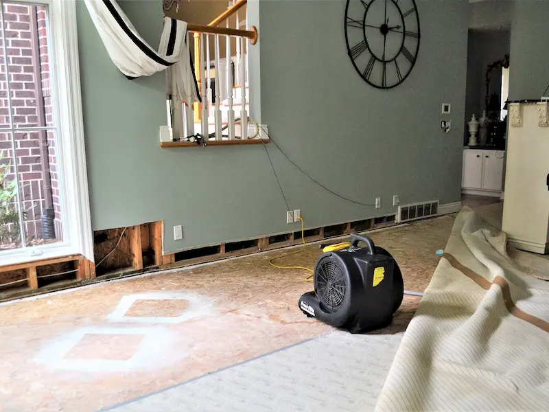 Mold remediation contractor Springdale AR